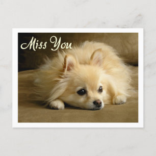 Carte postale de voeux de Chien Chien Chien Poméra