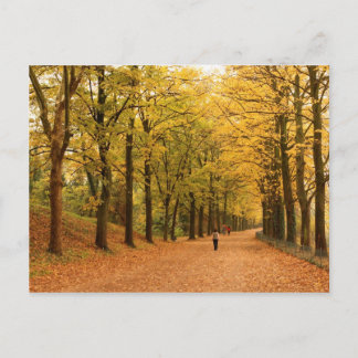Carte postale de voyage 28