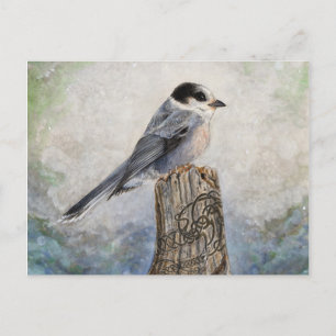 Carte postale de Whiskey Jack