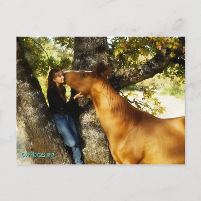 Carte postale de whisky Sundance (Devant)