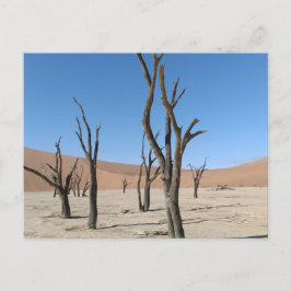 Carte postale Dead Vlei, Namibie