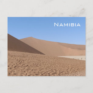 Carte postale Dead Vlei, Namibie