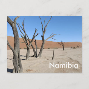 Carte postale Dead Vlei, Namibie