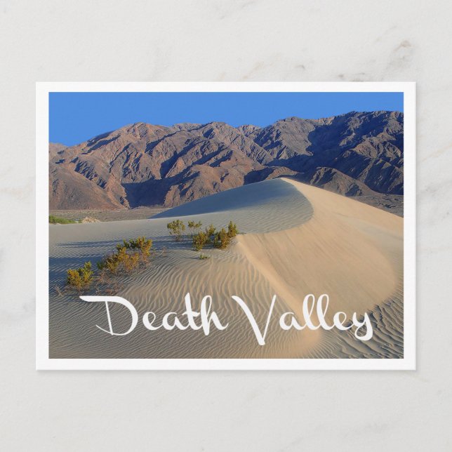 Carte Postale Death Valley National Park, California Post Card (Devant)