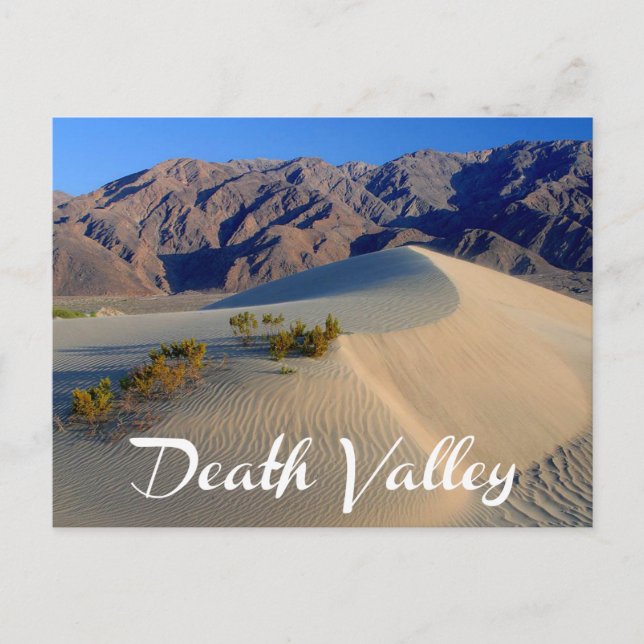 Carte Postale Death Valley National Park, California Postcard (Devant)