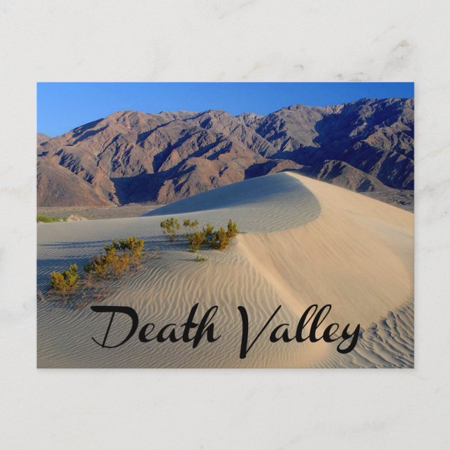 Carte Postale Death Valley National Park, California Postcard (Devant)