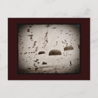 Débarquements le jour J Images assorties