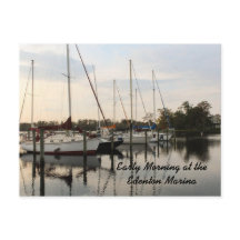Début de matinée à la marina d'Edenton