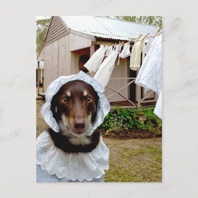 Carte Postale Déchaîne (Devant)