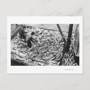 Carte Postale Déchargement du Saumon à partir de bateaux de pêch