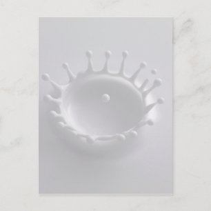 Carte Postale Déchirure de lait