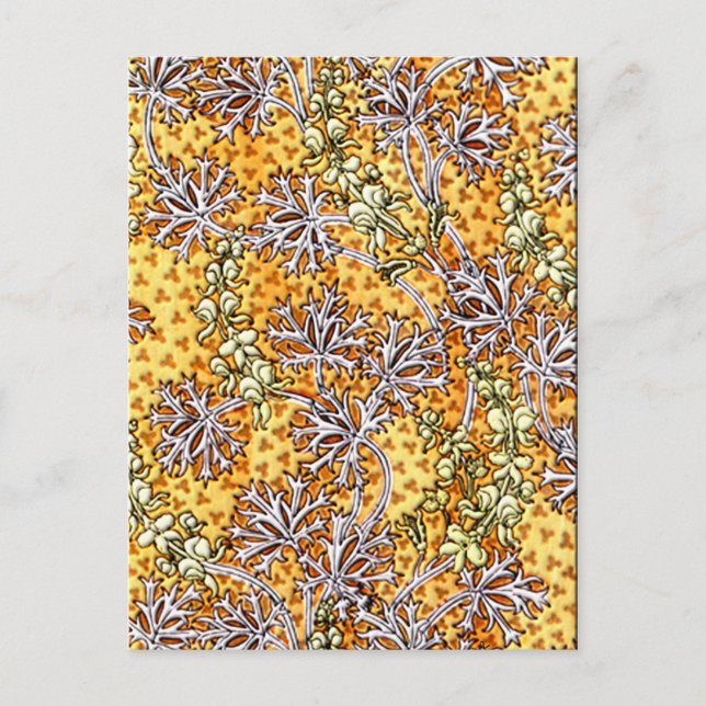 Carte Postale Déco Nouveau Fleurs et dentelle (Devant)