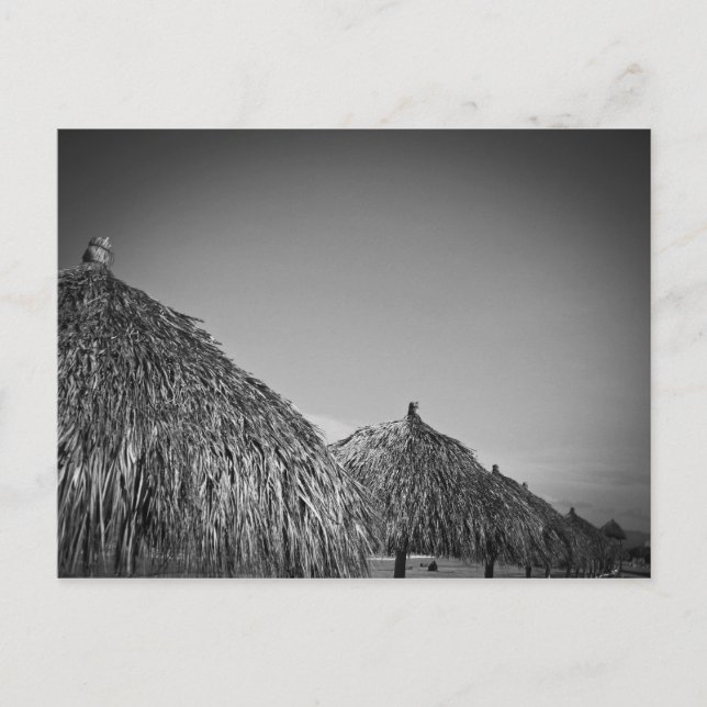 Carte Postale décontracté (Devant)