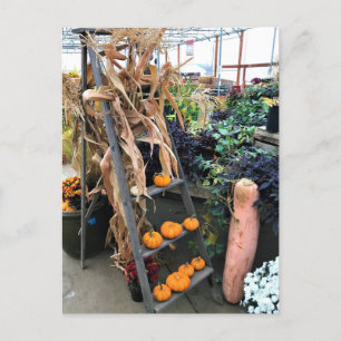 Carte Postale Décoration d'automne