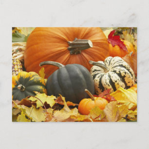 Carte Postale Décoration d'octobre