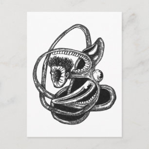 Carte Postale Découpe