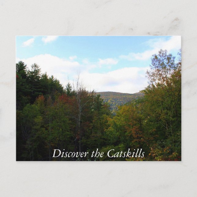 Carte Postale Découvrez les CatSkills 2 (Devant)