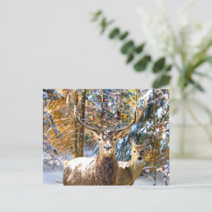 Carte Postale "Deep In The Forest"