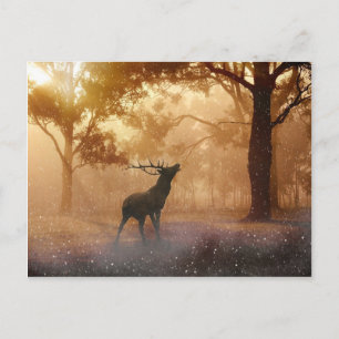 Carte Postale Deer Antler Meadow