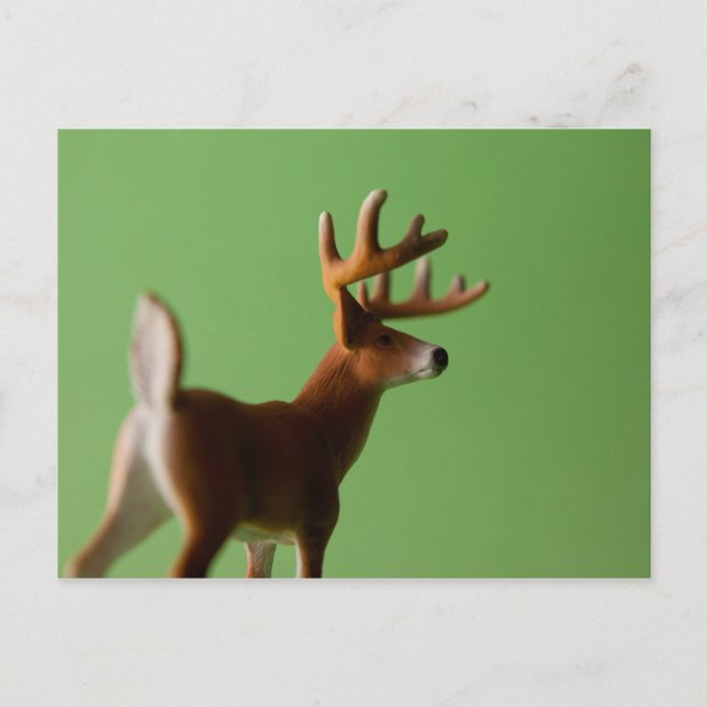 Carte postale Deer Butt (Devant)