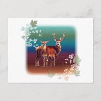 Carte Postale Deer Duo