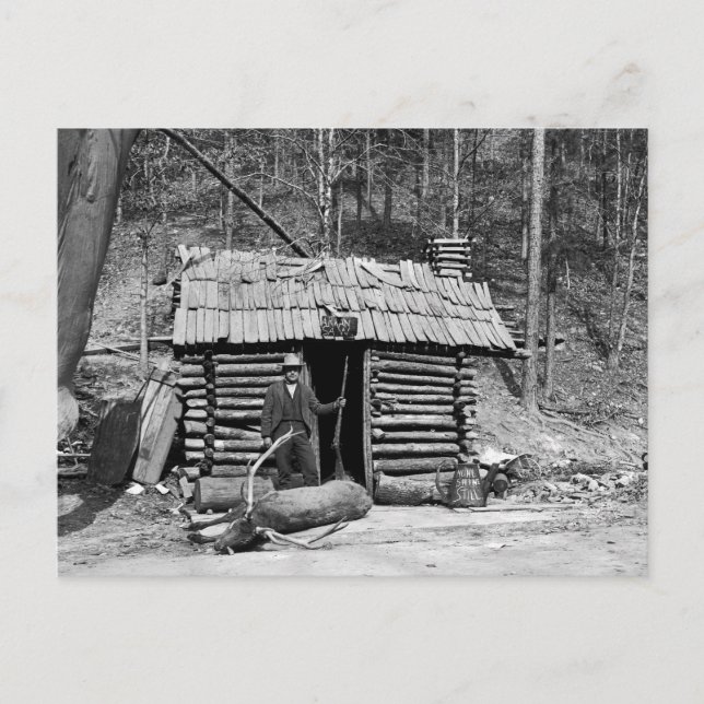 Carte Postale Deer Hunter, 1901 (Devant)