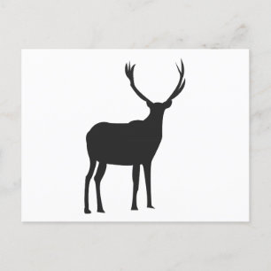 Carte Postale Deer mûre Antlers