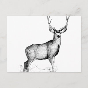 Carte Postale deergif masculin