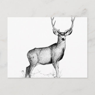 Carte Postale deergif masculin