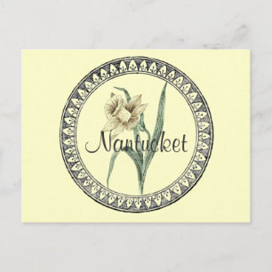 Carte Postale Défilé de Nantucket Daffodil