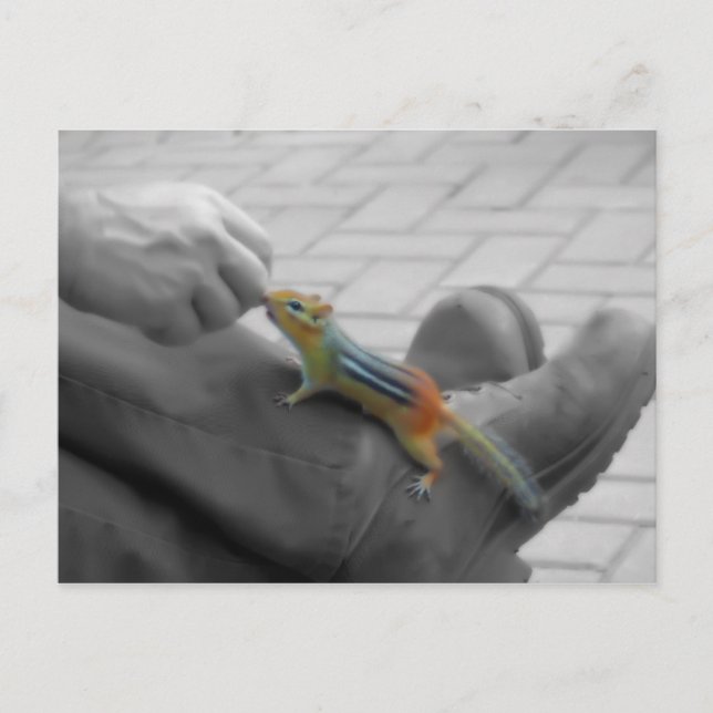 Carte Postale Déjeuner Chipmunk (Devant)