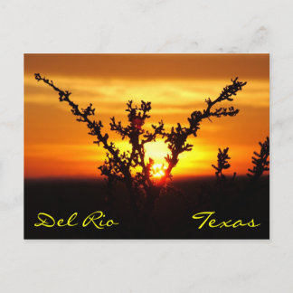 Carte postale Del Rio Texas Brush Sunset