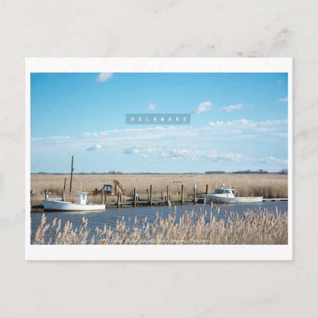 Carte Postale Delaware rurale et sauvage. (Devant)