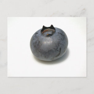 Carte Postale Délicieux bleuet