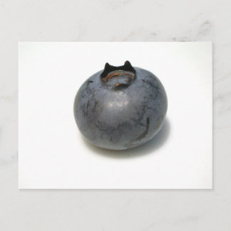 Carte Postale Délicieux bleuet