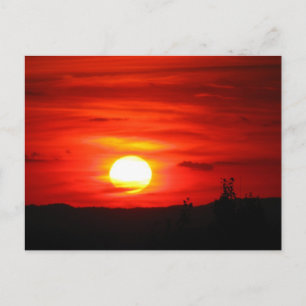 Carte postale délicieux du marin
