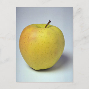 Carte Postale Délicieux Golden Delicious pomme