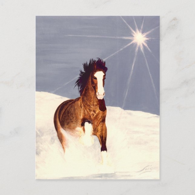 Carte Postale Démarrage (Devant)