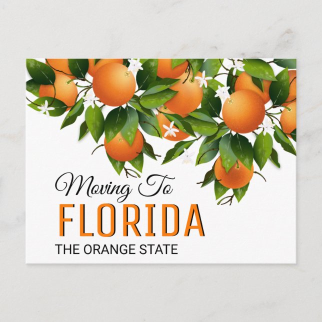 Carte Postale Déménager En Floride | Changement d'adresse (Devant)