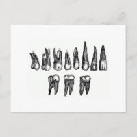Dents vintages