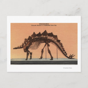 Carte Postale Denver, Colorado - Musée d'histoire naturelle 2