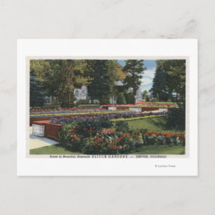 Carte Postale Denver, Colorado - Vue d'Elitch