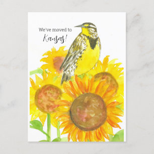 Carte Postale Déplacement Faire-part Kansas Meadowlark Tournesol