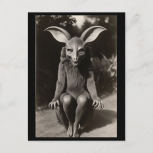 Carte postale déplaisant Bat Strange Halloween