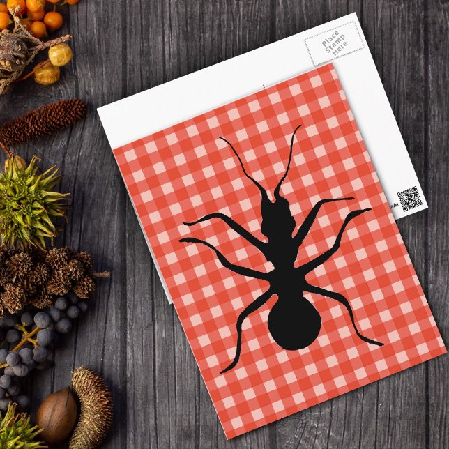 Carte Postale Déplaisant Crawants Nappes Plaid (Big black ant on tablecloth red and white plaid postcard.)