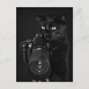 Carte Postale Der Fotograf - Postkarte