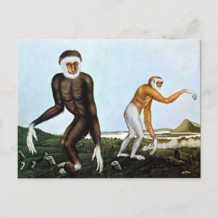 Carte Postale Der Gibbon ou The Gibbon (1833)