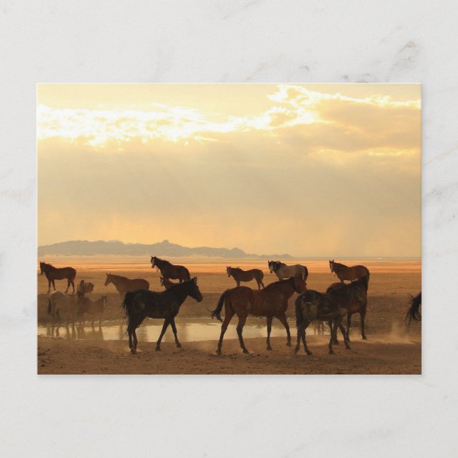 Carte Postale Dernier appel (Devant)