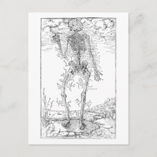 Carte Postale Dernier Nerf - Squelette d'Halloween