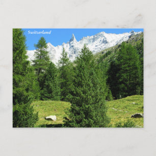 Carte postale des Alpes suisses magnifiques